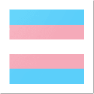 Trans pride flag Posters and Art